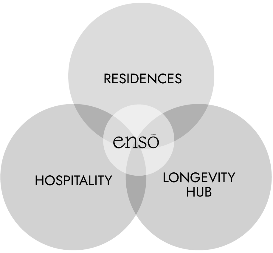 Diagrama conceptual de bienestar y longevidad de ensō